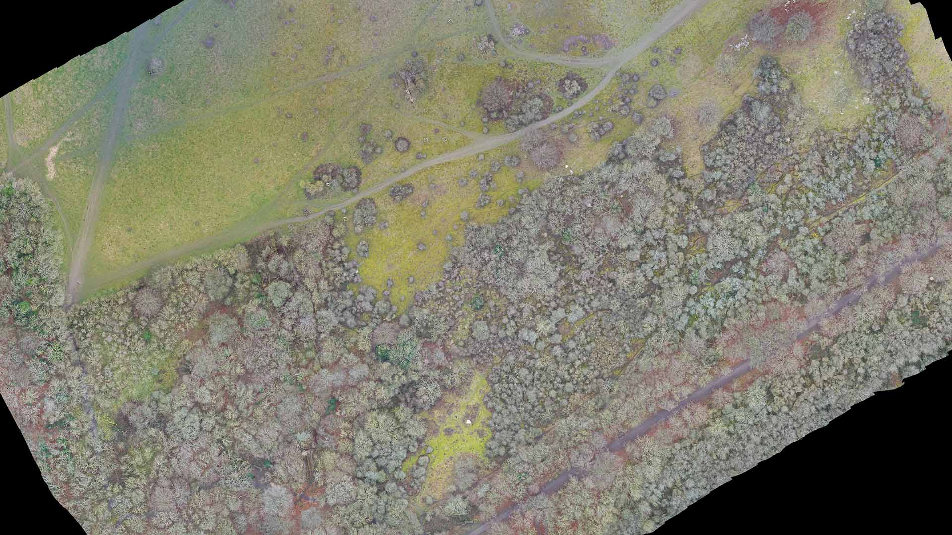 Applied 2D & 3D Photogrammetry for Drones
